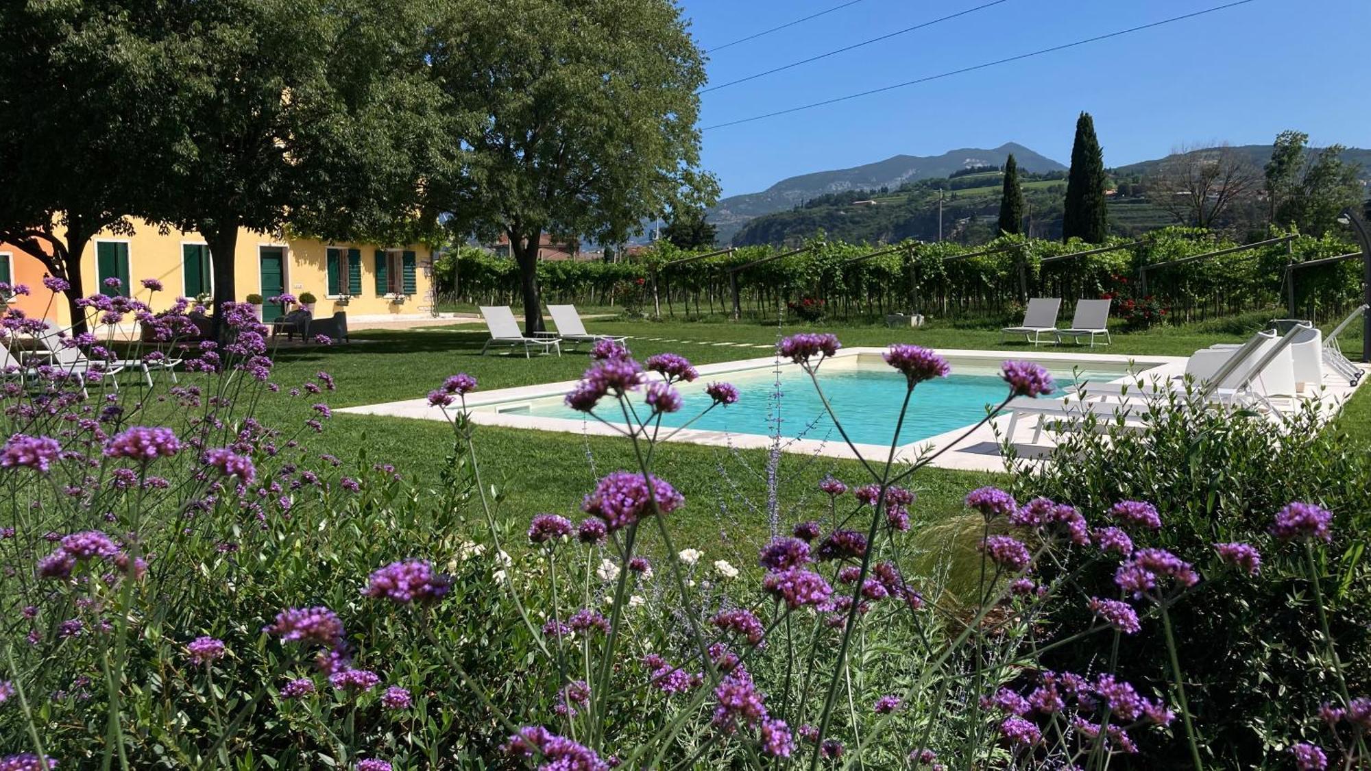 B&B Campagnon Valpolicella 산탐브로지오 디 발폴리첼라 외부 사진